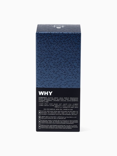 Парфюмерная вода мужская Milestone WHY, 35 мл