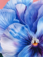 Пакет подарочный ламинированный, «Взгляд фиалки», нежно розовый, 18×22.3×10 см - фото 68978631