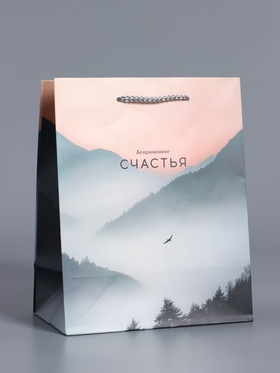 Пакет подарочный ламинированный «Высота чувств», розовый с серым, 18×22.3×10 см