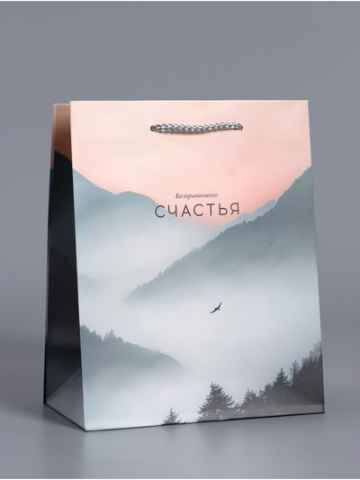 Пакет подарочный ламинированный «Высота чувств», розовый с серым, 18×22.3×10 см