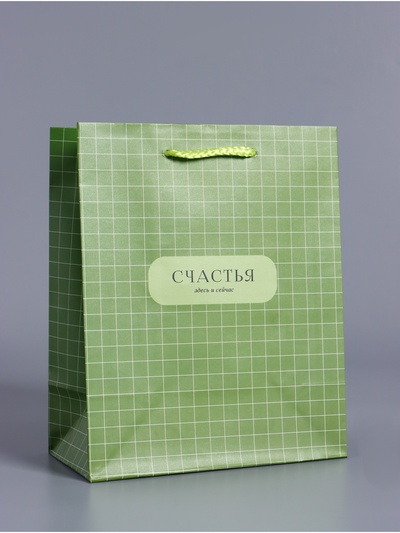 Пакет подарочный ламинированный «Здесь и сейчас», оливковый, 18×22.3×10 см