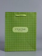 Пакет подарочный ламинированный «Здесь и сейчас», оливковый, 18×22.3×10 см - фото 68978768