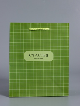 Пакет подарочный ламинированный «Здесь и сейчас», оливковый, 18×22.3×10 см