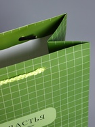 Пакет подарочный ламинированный «Здесь и сейчас», оливковый, 18×22.3×10 см - фото 68978771