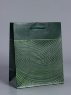 Пакет подарочный ламинированный «Сдержанный шарм», тёмно зелёный, 18×22.3×10 см - фото 68978773