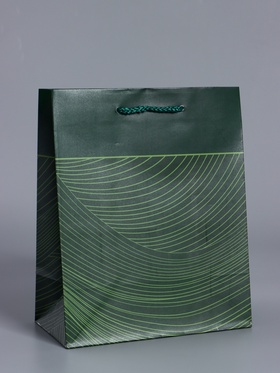 Пакет подарочный ламинированный «Сдержанный шарм», тёмно зелёный, 18×22.3×10 см