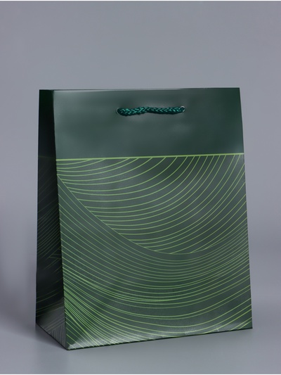 Пакет подарочный ламинированный «Сдержанный шарм», тёмно зелёный, 18×22.3×10 см