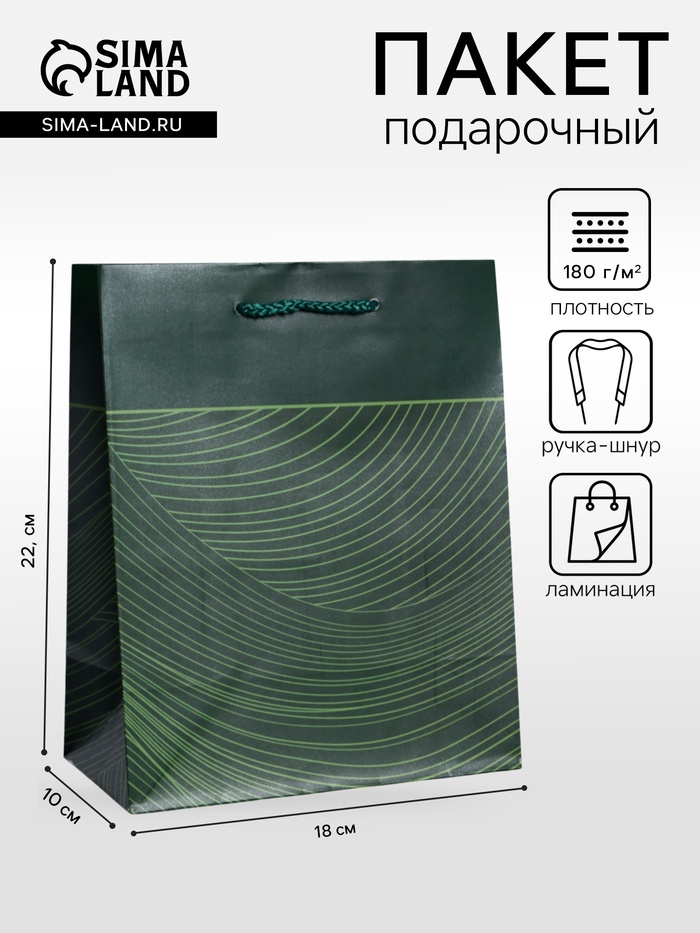 Пакет подарочный ламинированный «Сдержанный шарм», тёмно зелёный, 18×22.3×10 см - Фото 1