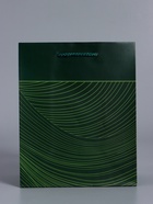 Пакет подарочный ламинированный «Сдержанный шарм», тёмно зелёный, 18×22.3×10 см - фото 68978774