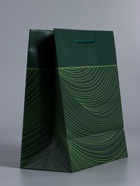 Пакет подарочный ламинированный «Сдержанный шарм», тёмно зелёный, 18×22.3×10 см - фото 68978776