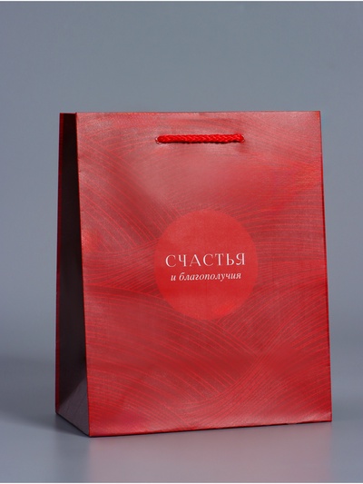 Пакет подарочный ламинированный «С уважением!», красный, 18×22.3×10 см