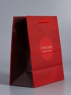 Пакет подарочный ламинированный «С уважением!», красный, 18×22.3×10 см - фото 68978782