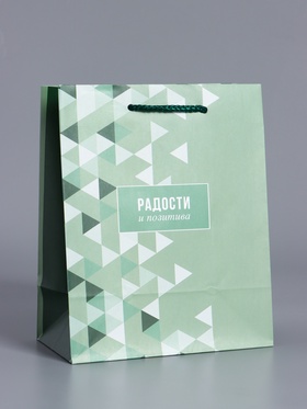 Пакет подарочный ламинированный «Радости и позитива», зелёный, 18×22.3×10 см