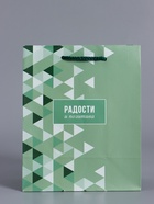 Пакет подарочный ламинированный «Радости и позитива», зелёный, 18×22.3×10 см - фото 68978786