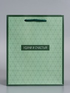 Пакет подарочный ламинированный «Минимализм в деталях», трявяной, 18×22.3×10 см - фото 68978792