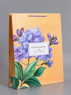 Пакет подарочный ламинированный «Тонка эстетика», персиковый, 33×42.5×10 см