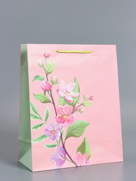 Пакет подарочный ламинированный «Нежный комплимент», розово - травяной, 26×12×32 см
