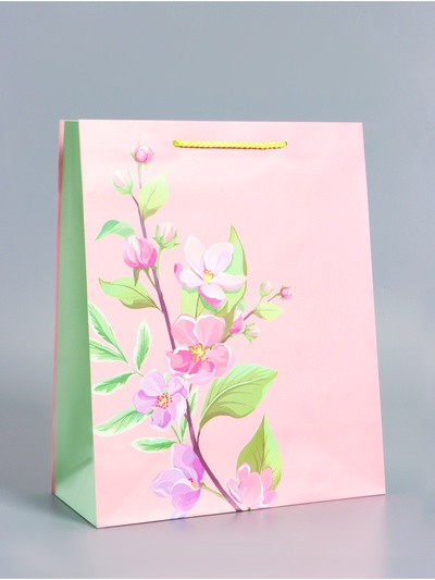 Пакет подарочный ламинированный «Нежный комплимент», розово - травяной, 26×12×32 см