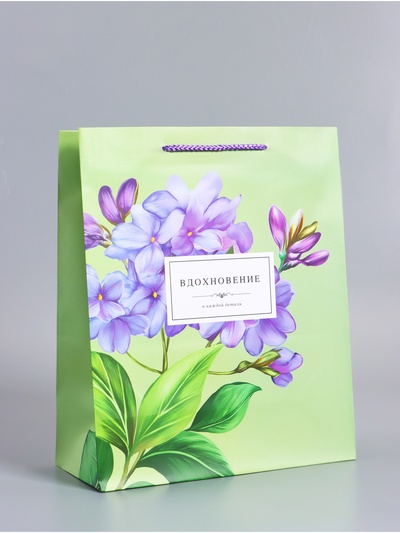 Пакет подарочный ламинированный «Вдохновение», светло - зелёный, 26×12×32 см