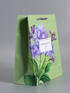 Пакет подарочный ламинированный «Вдохновение», светло - зелёный, 26×12×32 см - фото 68978878