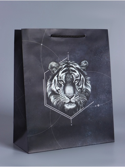 Пакет подарочный ламинированный «Сила характера», чёрный, 26×12×32 см