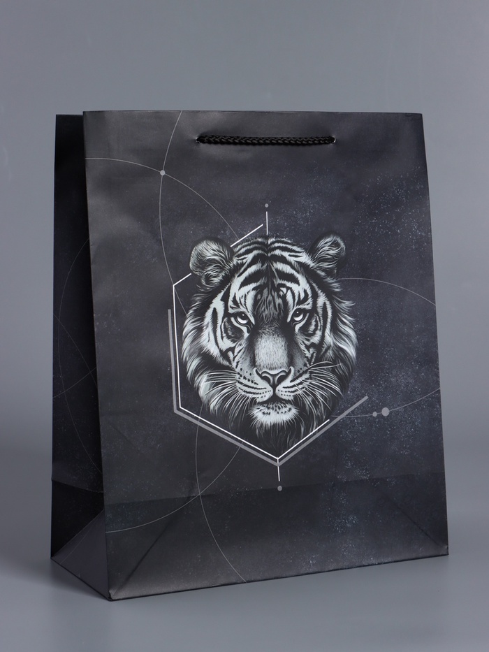 Пакет подарочный ламинированный «Сила характера», чёрный, 26×12×32 см - Фото 1