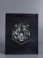 Пакет подарочный ламинированный «Сила характера», чёрный, 26×12×32 см - фото 68978882