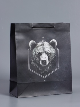 Пакет подарочный ламинированный «Мужской выбор», чёрный, 26×12×32 см