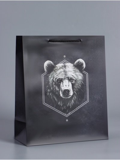 Пакет подарочный ламинированный «Мужской выбор», чёрный, 26×12×32 см