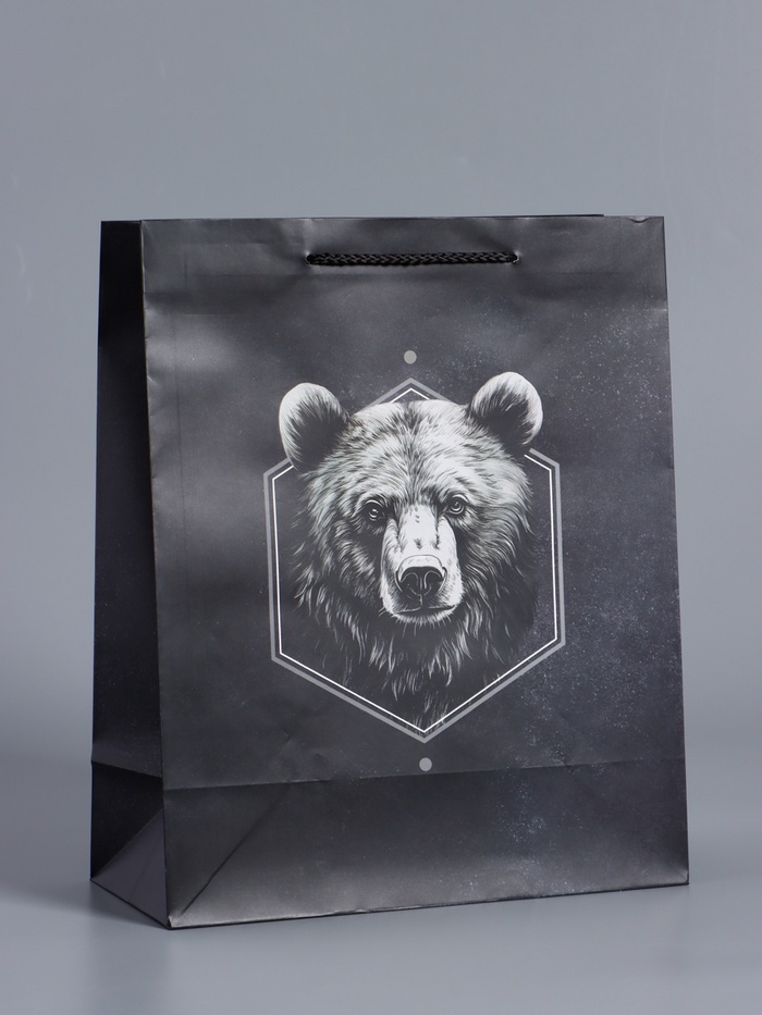 Пакет подарочный ламинированный «Мужской выбор», чёрный, 26×12×32 см - Фото 1