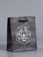 Пакет подарочный ламинированый «Сила характера», чёрный, 11.5×14.5×6.5 см - фото 68978911