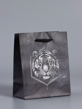 Пакет подарочный ламинированый «Сила характера», чёрный, 11.5×14.5×6.5 см