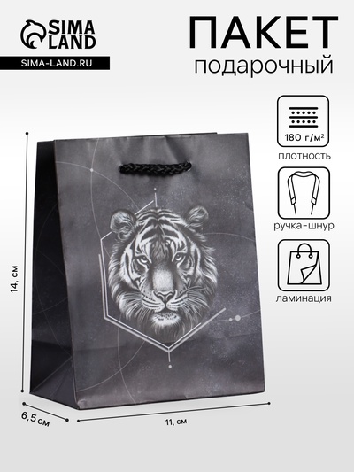 Пакет подарочный ламинированный «Сила характера», чёрный, 11.5×14.5×6.5 см
