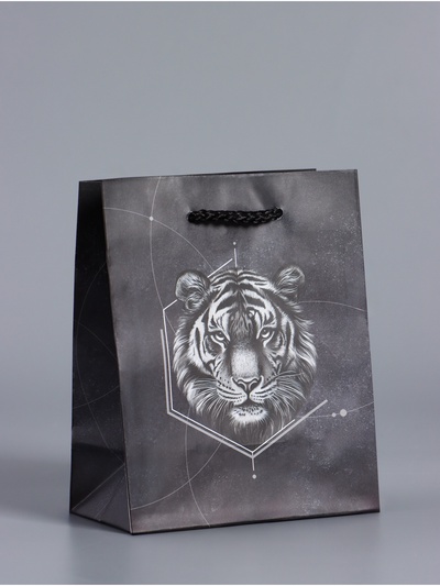 Пакет подарочный ламинированный «Сила характера», чёрный, 11.5×14.5×6.5 см