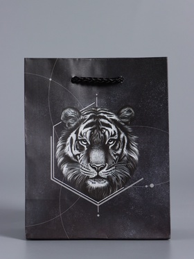 Пакет подарочный ламинированый «Сила характера», чёрный, 11.5×14.5×6.5 см