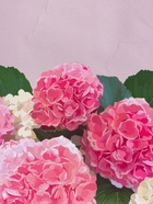 Пакет подарочный ламинированый «От всей души», пыльная роза, 11.5×14.5×6.5 см - фото 68978925