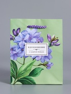 Пакет подарочный ламинированый «Вдохновение», травяной, 11.5×14.5×6.5 см - фото 68978936