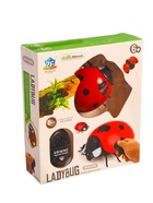 УЦЕНКА Животное радиоуправляемое "Божья коровка", работает от батареек, свет - Фото 2