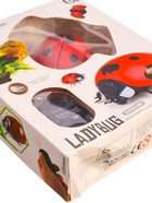 УЦЕНКА Животное радиоуправляемое "Божья коровка", работает от батареек, свет - Фото 5