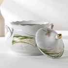 УЦЕНКА Сервиз столовый Добрушский завод «Идиллия. Стрекоза», 37 предметов, фарфор, белый - Фото 8