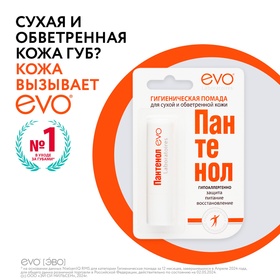 {{productViewItem.photos[photoViewList.activeNavIndex].Alt || productViewItem.photos[photoViewList.activeNavIndex].Description || 'Губная помада гигиеническая EVO &quot;Пантенол&quot;, 2,8 г'}}