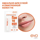 Губная помада гигиеническая EVO "Пантенол", 2,8 г 1102298 - фото 2154028