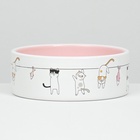 УЦЕНКА Миска керамическая "Весёлые котики" 300 мл 12,5 x 4,5 cм, бежево-белая - Фото 3