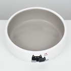 УЦЕНКА Миска керамическая "Любимые коты" 300 мл - 13,4 х 13,4 x 4 cм, серая/белая 10988534