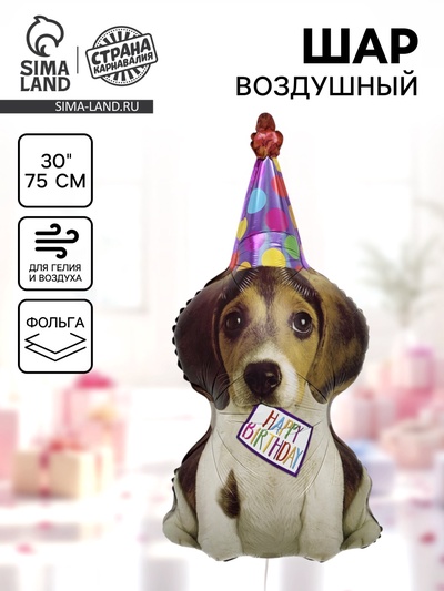 Воздушный шар фольгированный 30" «Щенок в колпаке»
