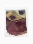 Воздушный шар фольгированный 30" «Щенок в колпаке» 10947587