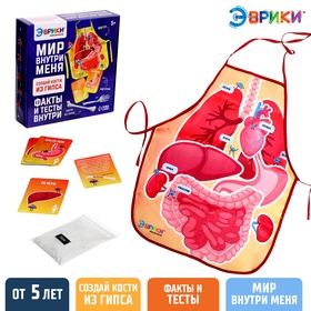 {{photo.Alt || photo.Description || 'УЦЕНКА ЭВРИКИ Набор для опытов "Мир внутри меня"'}}