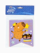 Гирлянда "Флажки, Капибары, С Днем Рождения!"  240 см. - фото 68980297