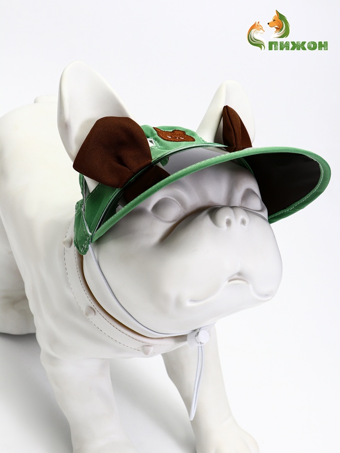 Кепка для собак и кошек, размер L, ОГ 35-46 см, высота 13 см, зелёная - Фото 1