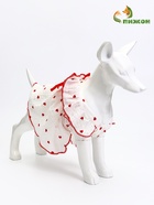 Платье для животных «Зефирка», полиэстер, M, ДС 30, ОГ 40 см, полиэстер - Фото 1